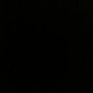 Meet your Posher, Lacy